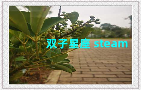 双子星座 steam